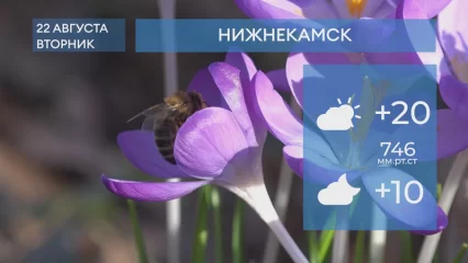 Прогноз погоды в Нижнекамске на 22-е августа 2023 года