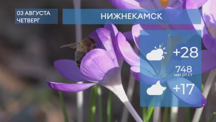 Прогноз погоды в Нижнекамске на 3-е августа 2023 года