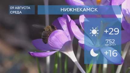 Прогноз погоды в Нижнекамске на 9-е августа 2023 года