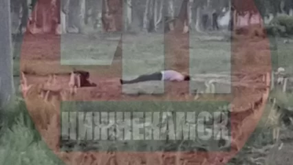 В Нижнекамске заметили лежащего на поле мужчину - НТР 24