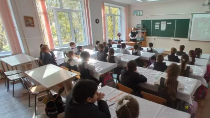 В новом учебном году в Нижнекамске сократится количество школ - НТР 24