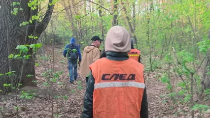 В Нижнекамске нашли мужчину, пропавшего больше 3 месяцев назад