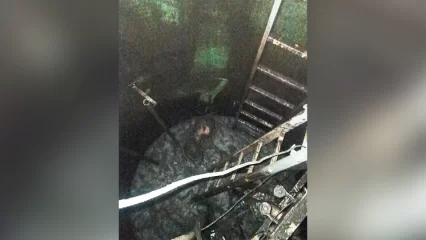 В Буинске в сточном колодце погиб 50-летний рабочий - НТР 24