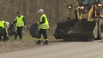 В Нижнекамске на уборку парков направят 4,7 млн рублей - НТР 24