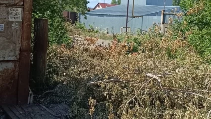 В Нижнекамске местные жители преградили проезд в гаражный кооператив, который погряз в мусоре - НТР 24