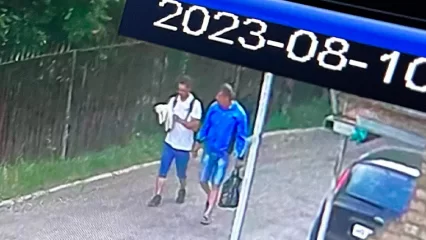 В Нижнекамске неизвестные унесли котенка – хозяйка просит вернуть питомца - НТР 24