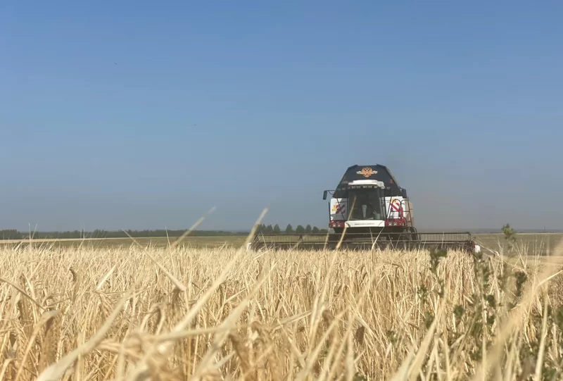 Началась уборка зерновых в Нижнекамском районе