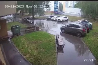 В Нижнекамске попал на видео падающий из окна пятиэтажки котенок