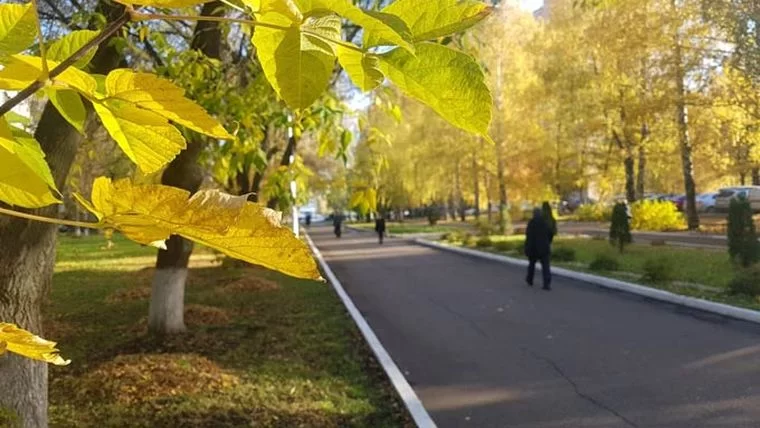 В Татарстане потеплеет до +24 градусов