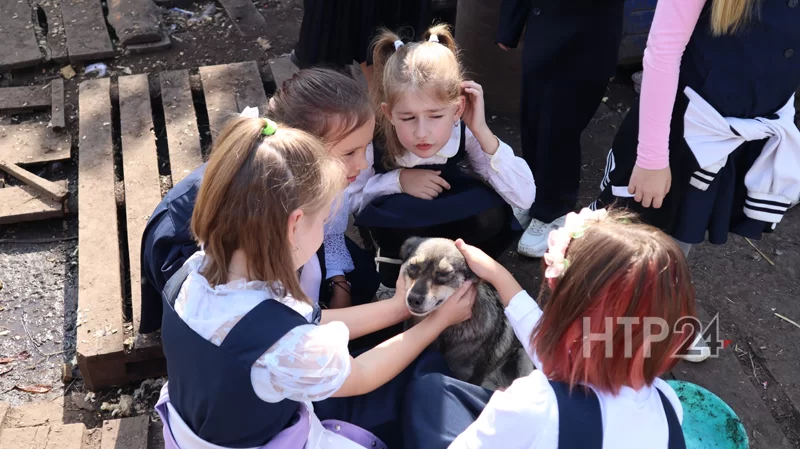 Дети в приюте для бездомных животных в Нижнекамске