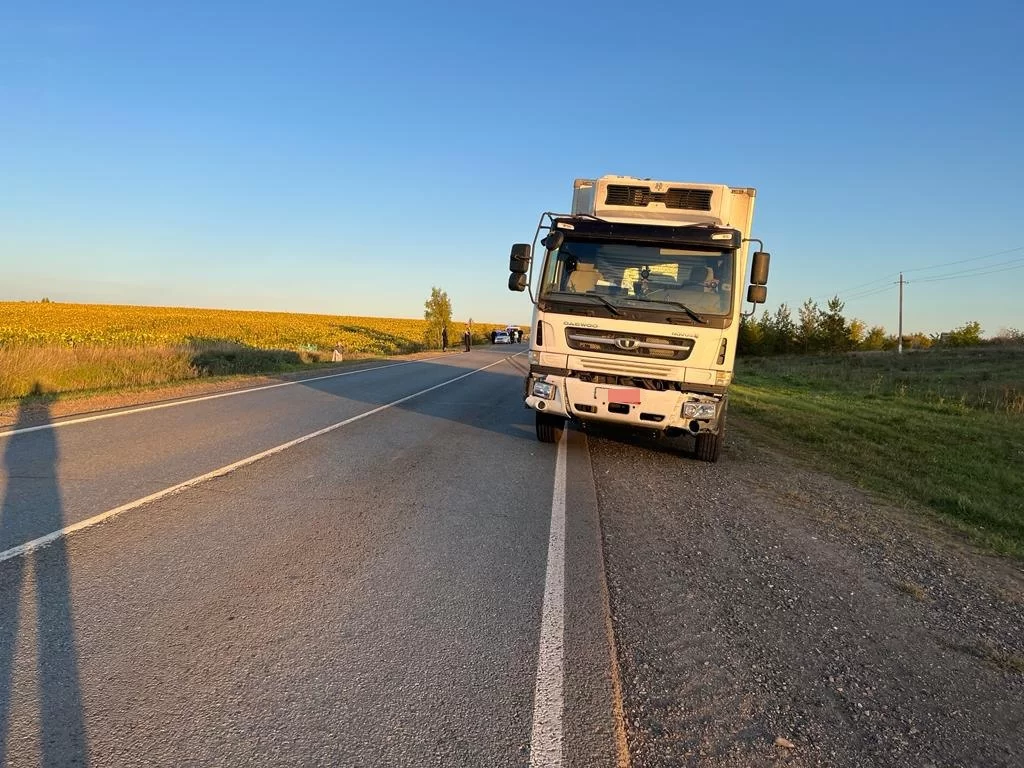 В Татарстане на трассе грузовик насмерть сбил трехлетнего ребенка — НТР 24