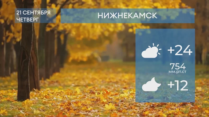 Прогноз погоды в Нижнекамске на 21-е сентября 2023 года