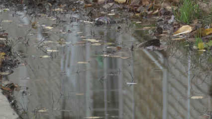 Гидрометцентр прогнозирует Татарстану октябрь и февраль теплее нормы - НТР 24