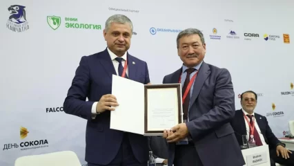 В Татарстане представили проект по реинтродукции сокола-балобана - НТР 24