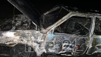 В сгоревшем на нижнекамской трассе автомобиле могли погибнуть люди