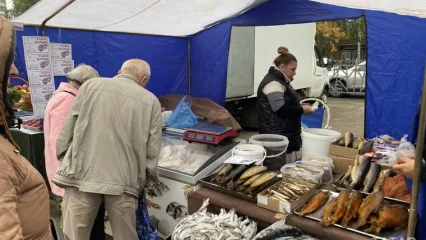 В Нижнекамске открылась субботняя сельскохозяйственная ярмарка - НТР 24