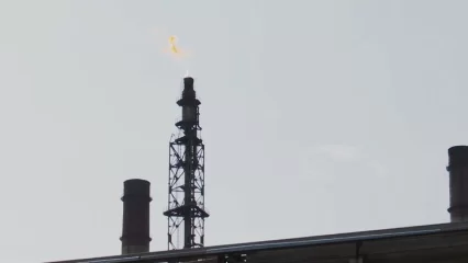 Нижнекамцам объяснили необходимость дымного горения факела завода этилена - НТР 24