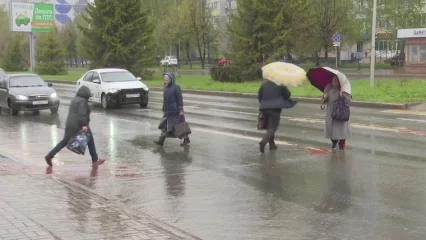Метеоролог КФУ предупредил о похолодании в Татарстане