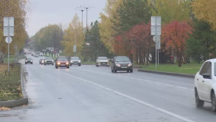 Татарстанцев призывают быть внимательными на дорогах из-за активности копытных - НТР 24