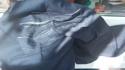 Нижнекамский школьник испортил костюм в День знаний, сев на окрашенную скамейку - НТР 24