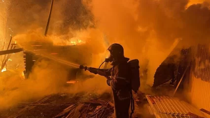 В огородах под Нижнекамском произошёл крупный пожар
