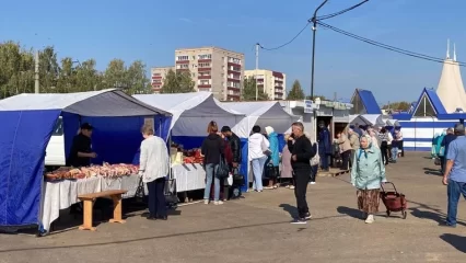 Нижнекамцам рассказали, где в городе каждую неделю проходят сельхозярмарки - НТР 24