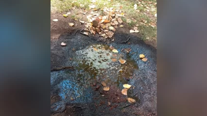 В нижнекамском парке ребёнок попал в масляную лужу - НТР 24