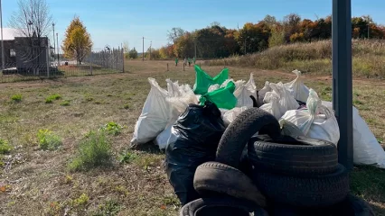 Нижнекамцы собрали более 60 мешков мусора в лесу за «Батыром»