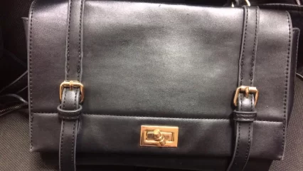 Молодая нижнекамка заказала в интернете несуществующую сумку за 10 тысяч - НТР 24