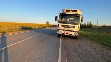 В Татарстане на трассе грузовик насмерть сбил трехлетнего ребенка