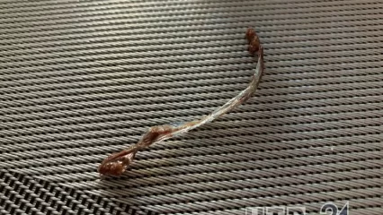 Нижнекамка обнаружила в глазированном сырке кусок пакета - НТР 24