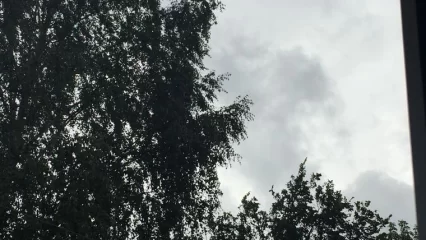 Татарстанцев предупредили о штормовом ветре в субботу