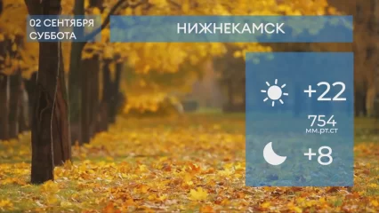 Прогноз погоды в Нижнекамске на 2-е сентября 2023 года
