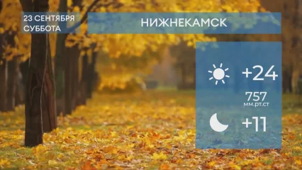 Прогноз погоды в Нижнекамске на 23-е сентября 2023 года
