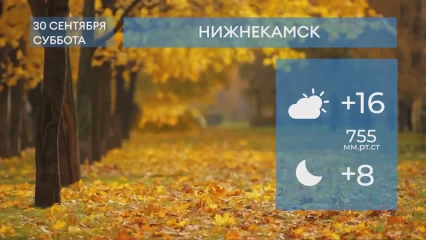 Прогноз погоды в Нижнекамске на 30-е сентября 2023 года