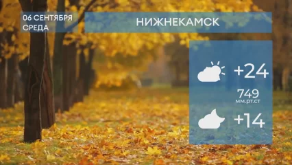 Прогноз погоды в Нижнекамске на 6-е сентября 2023 года