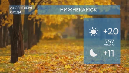 Прогноз погоды в Нижнекамске на 20-е сентября 2023 года