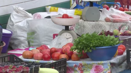 Овощи под подозрением: весь ли урожай, который продают нижнекамские огородники, действительно дачный? - НТР 24