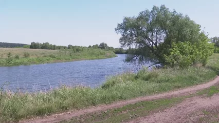 В Нижнекамском районе ликвидировано почти 5 тысяч кубометров свалок - НТР 24