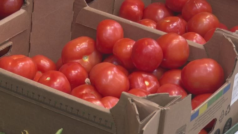 В Татарстане почти на 12% подорожали помидоры