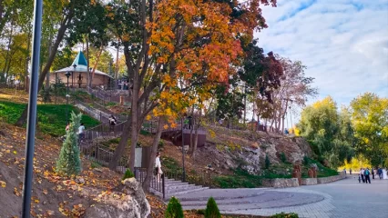 Метеоролог КФУ рассказал, ждать ли в Татарстане второе бабье лето - НТР 24