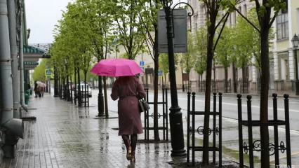 На Татарстан надвигает порывистый ветер и ливень - НТР 24