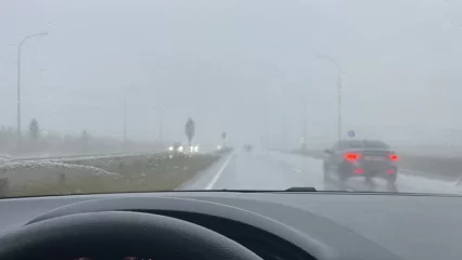 Нижнекамские водители предупреждают о плохой видимости на трассе из-за тумана - НТР 24
