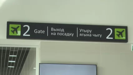 В Нижнекамске задержали вылет самолёта до Москвы в 5,5 часов - НТР 24
