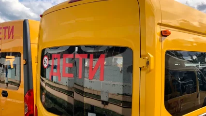 Инспекторы Нижнекамска напомнили о правилах организованной перевозки детей - НТР 24