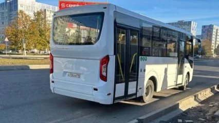 В Нижнекамске ребёнка зажало дверями автобуса, водителя наказали - НТР 24