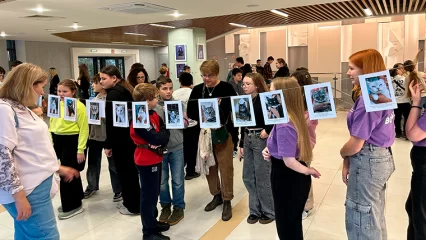 В Нижнекамске прошла акция по сбору корма для бездомных животных - НТР 24