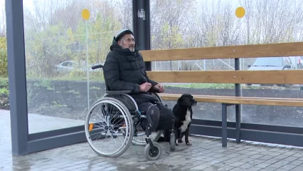 В Нижнекамске бездомный, живущий в лесу, сбежал из приюта - НТР 24