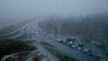 Из-за шквалистого ветра в Татарстане объявили штормовое предупреждение - НТР 24