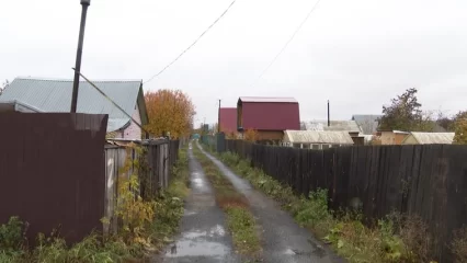 Садоводам Нижнекамска рассказали, куда обращаться с дачными проблемами - НТР 24